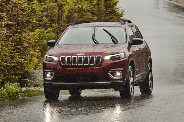 A Set of Wiper Blades